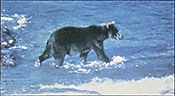 Educational Tours to Europe, Polynesia, the Caribbean, Nepal, and Alaska